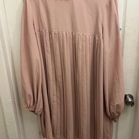 Elegant Pink Pleated Trapeze Dress - Picture 4 of 4